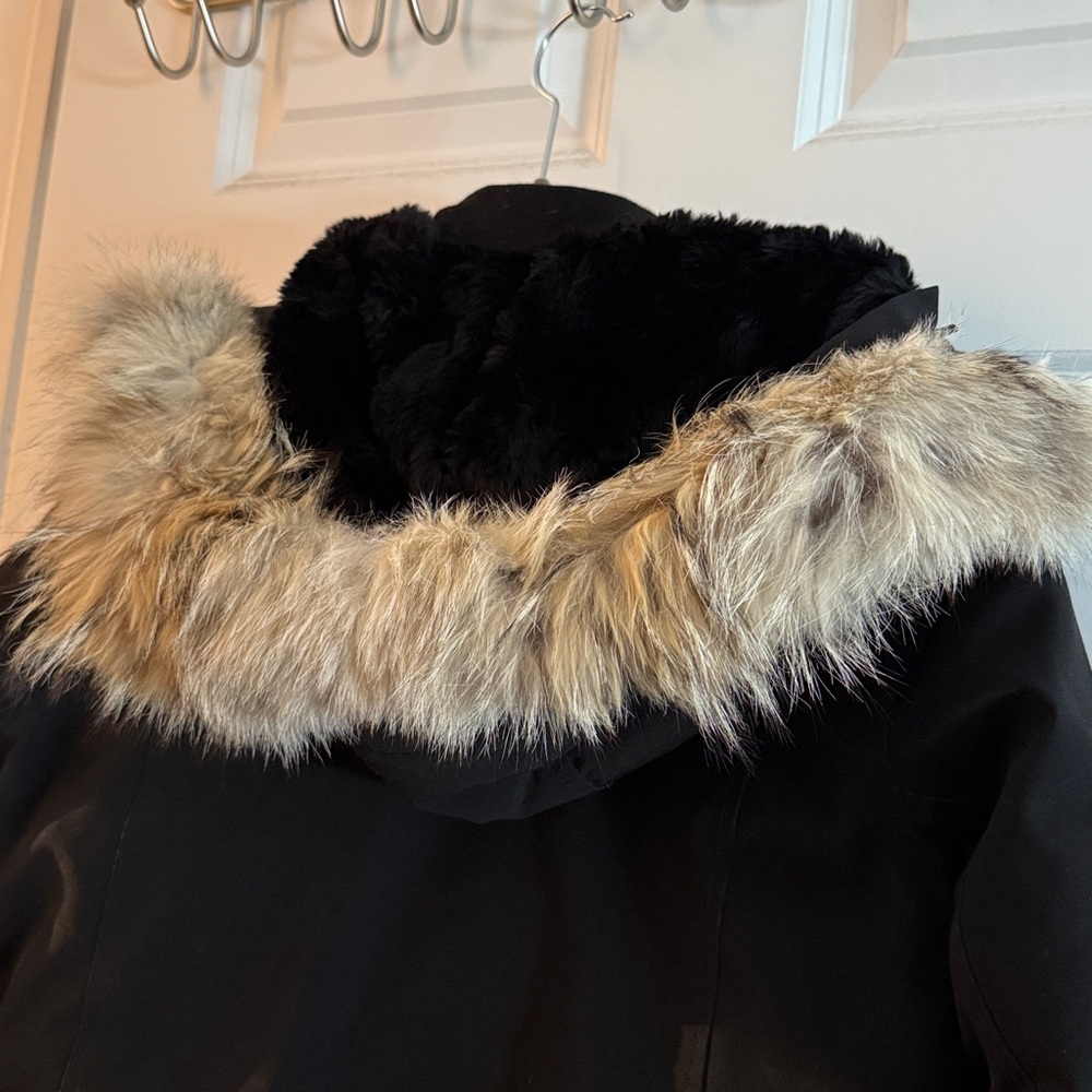 Canada Goose Black Fur Hooded Jacket - Picture 5 of 6